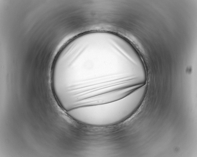 X0000090501232200708102233