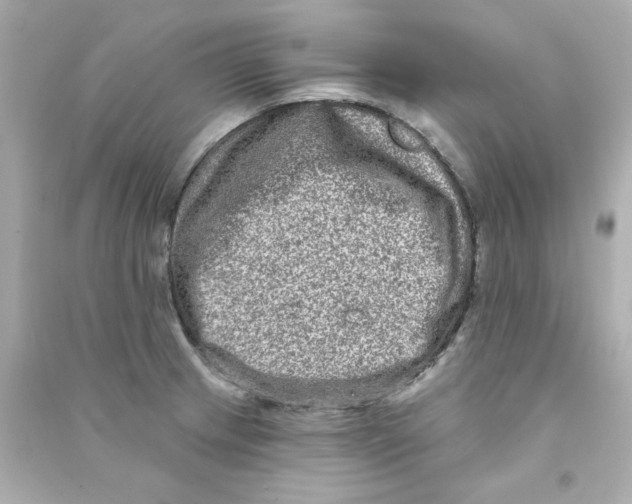 X0000090501233200708102233