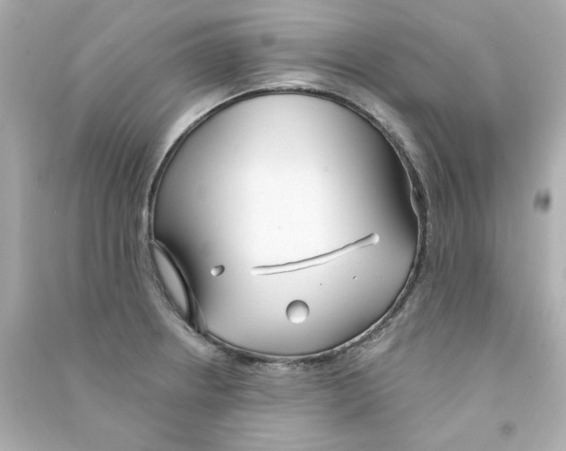 X0000090501234200708102233