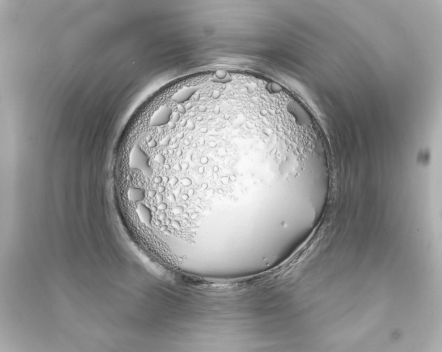 X0000090501235200708102233