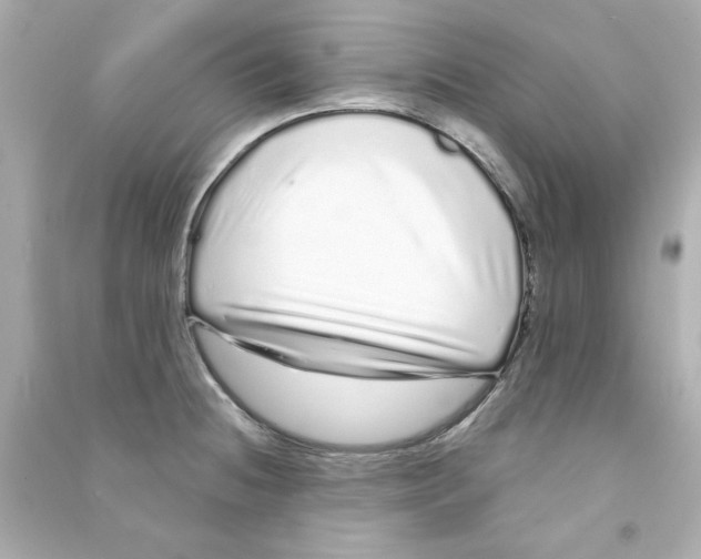 X0000090501236200708102233