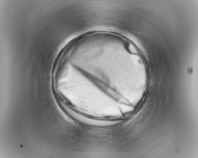 X0000090501237200708102233