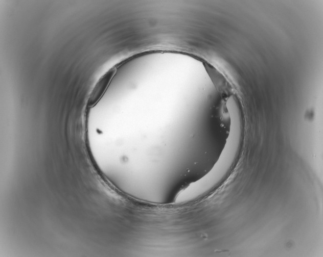 X0000090501238200708102233