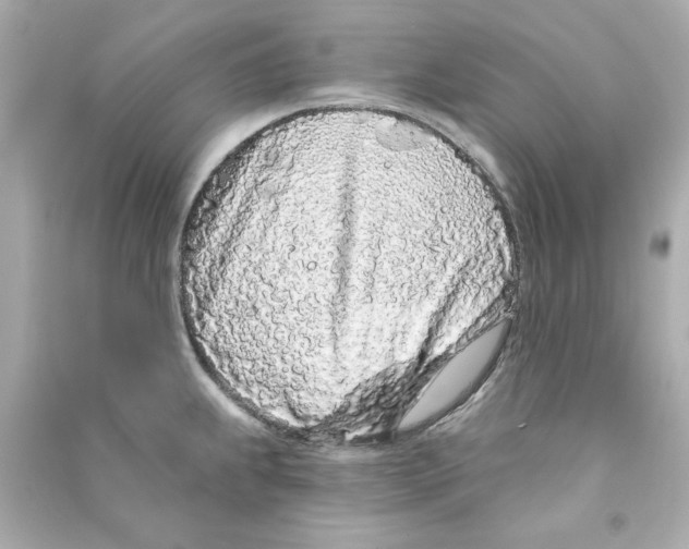 X0000090501239200708102233