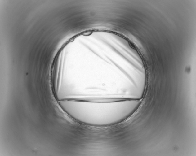 X0000090501240200708102233