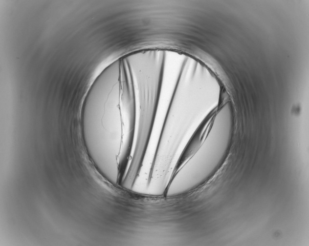 X0000090501242200708102233