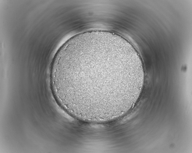 X0000090501243200708102233