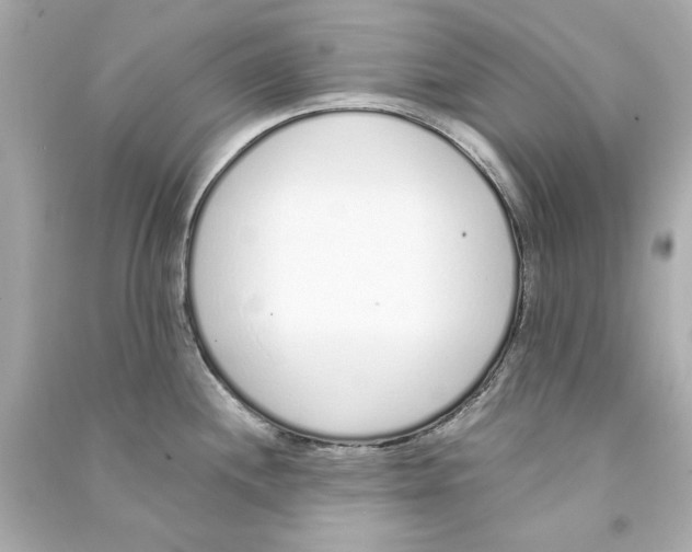 X0000090501244200708102233