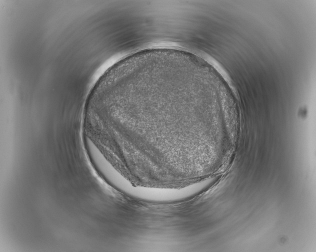 X0000090501245200708102234