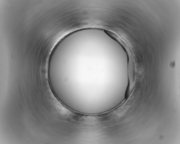 X0000090501246200708102234