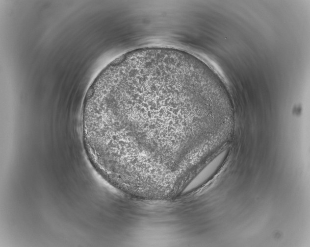 X0000090501247200708102234