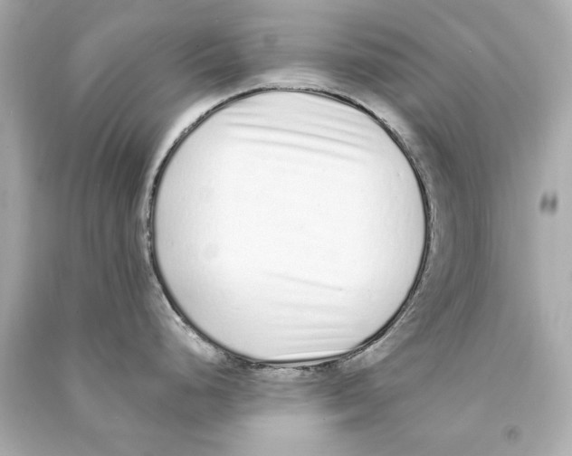 X0000090501248200708102234