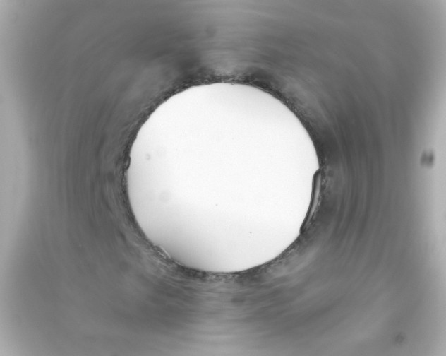 X0000090501249200708102233