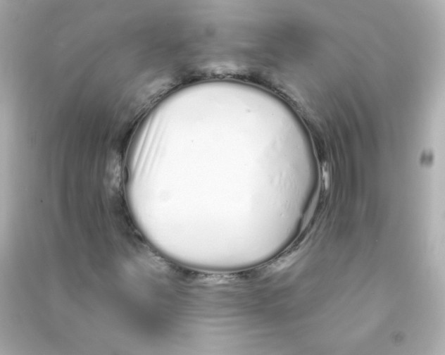 X0000090501251200708102233