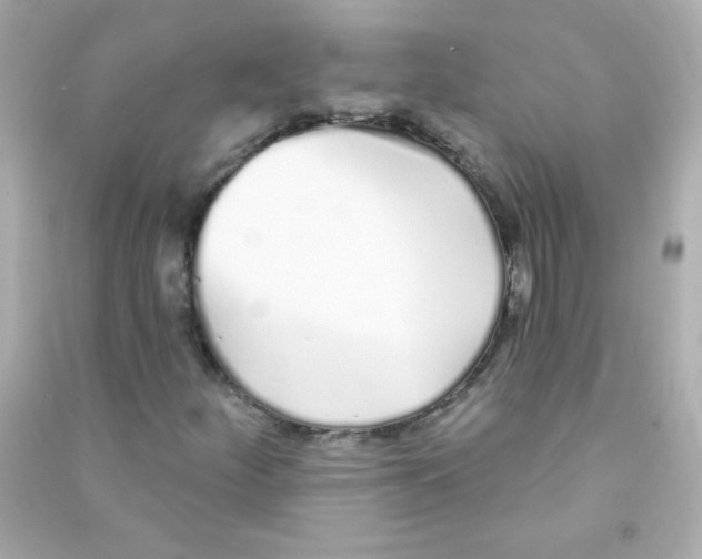 X0000090501252200708102233