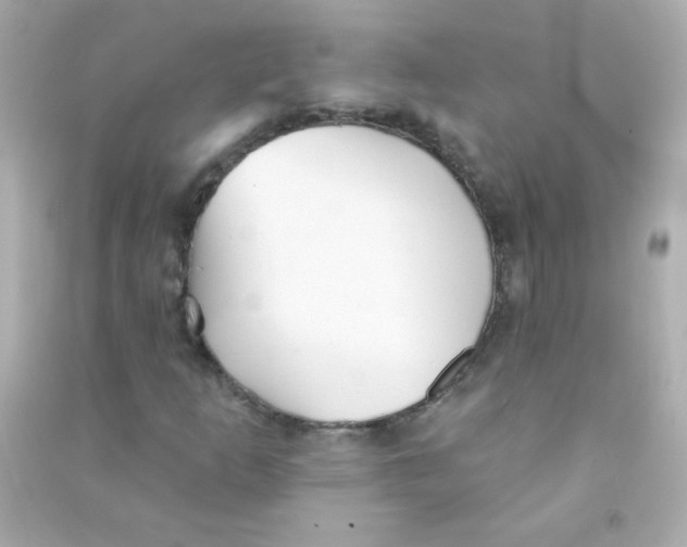 X0000090501253200708102233