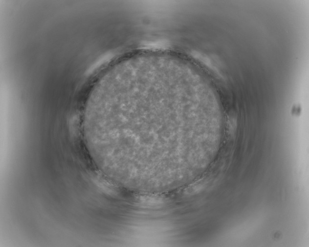 X0000090501254200708102233