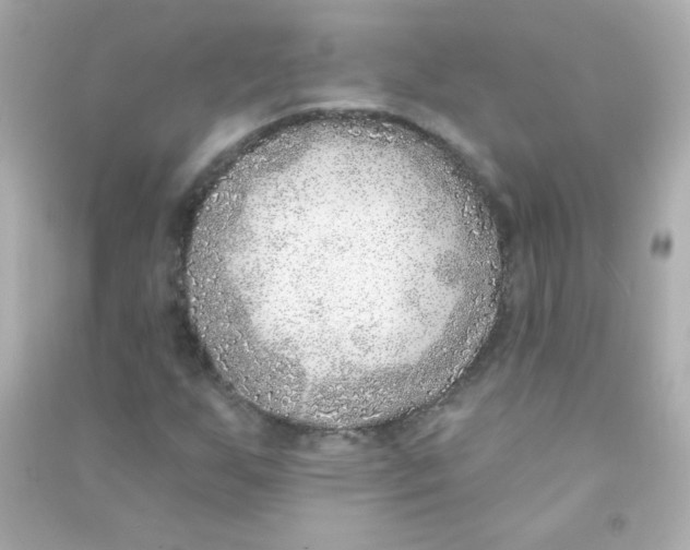 X0000090501255200708102233