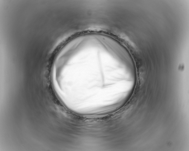 X0000090501256200708102233