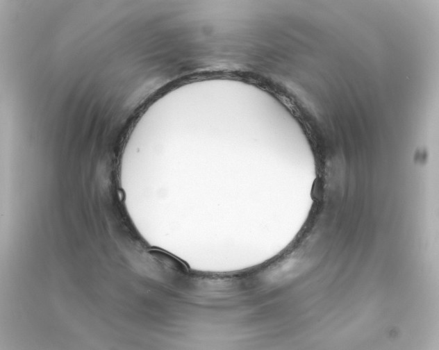 X0000090501257200708102233