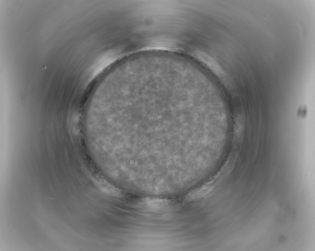 X0000090501258200708102233