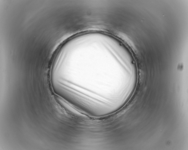 X0000090501260200708102233