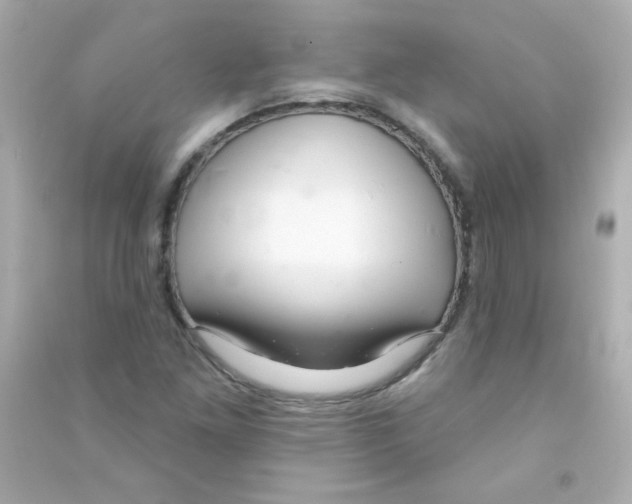 X0000090501261200708102233