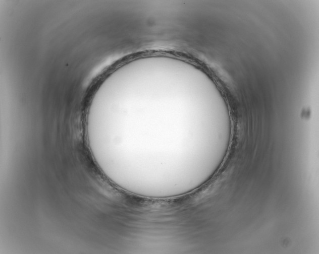 X0000090501262200708102233