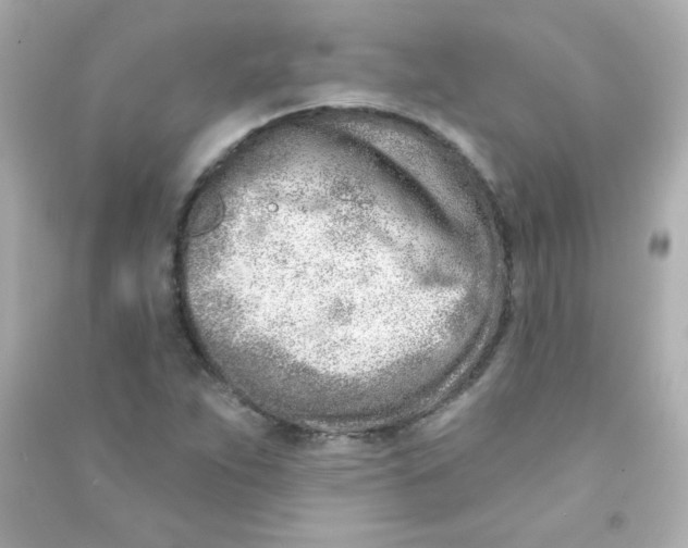 X0000090501263200708102233