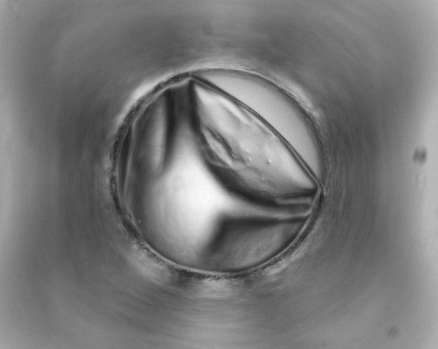 X0000090501264200708102233