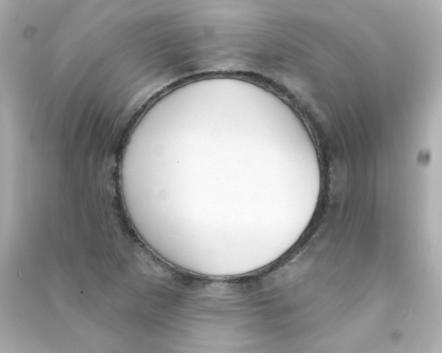 X0000090501265200708102233