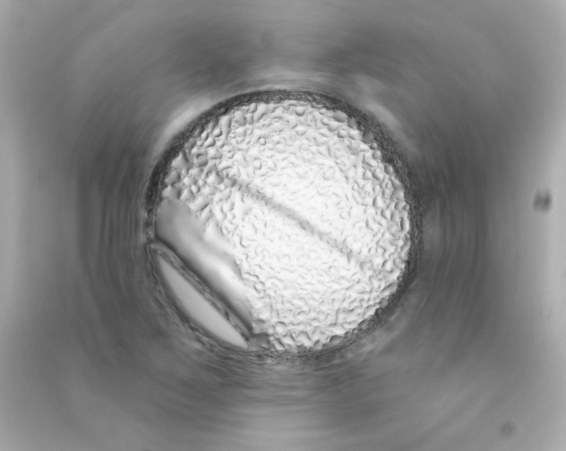 X0000090501267200708102233