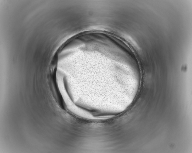 X0000090501268200708102233