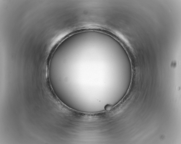 X0000090501269200708102233