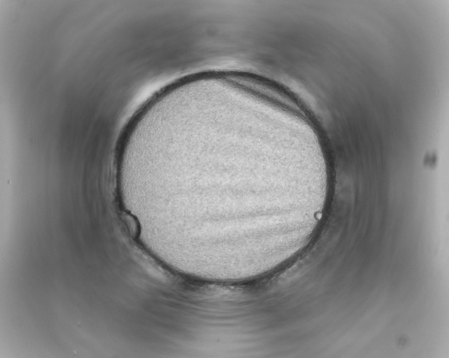 X0000090501270200708102233