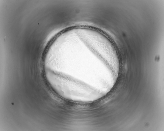 X0000090501271200708102233