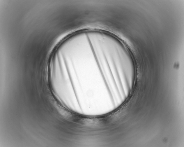 X0000090501272200708102233