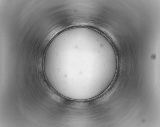 X0000090501273200708102233