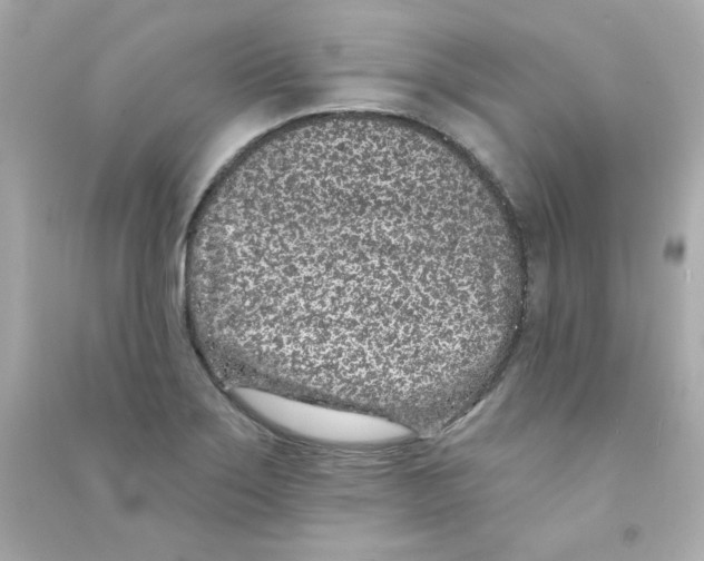 X0000090501275200708102233