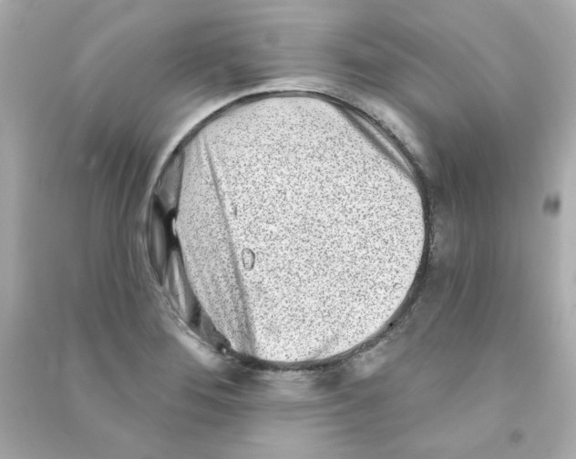 X0000090501276200708102233