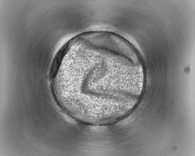 X0000090501277200708102232