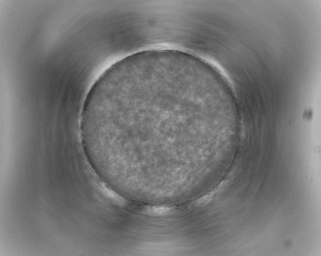 X0000090501278200708102232