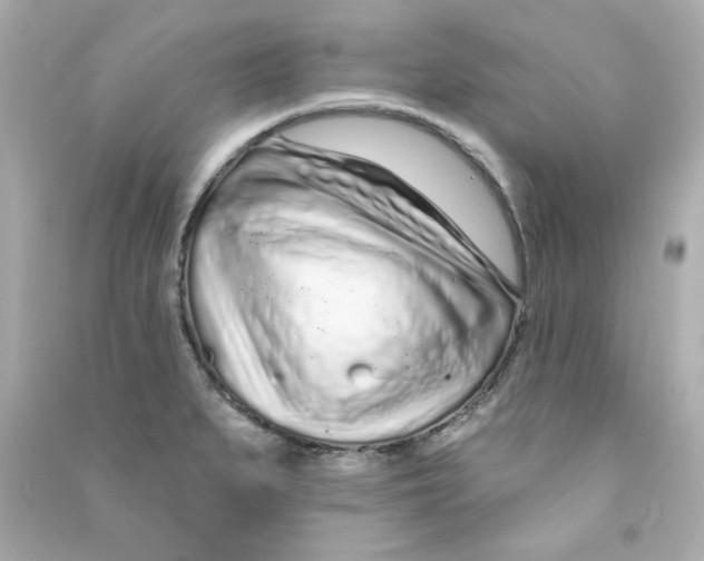 X0000090501279200708102232