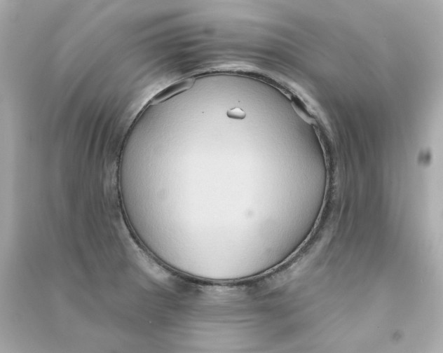 X0000090501281200708102232