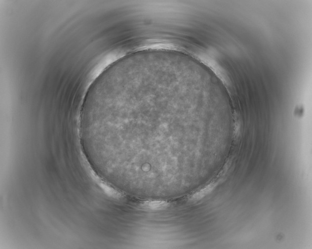 X0000090501282200708102232