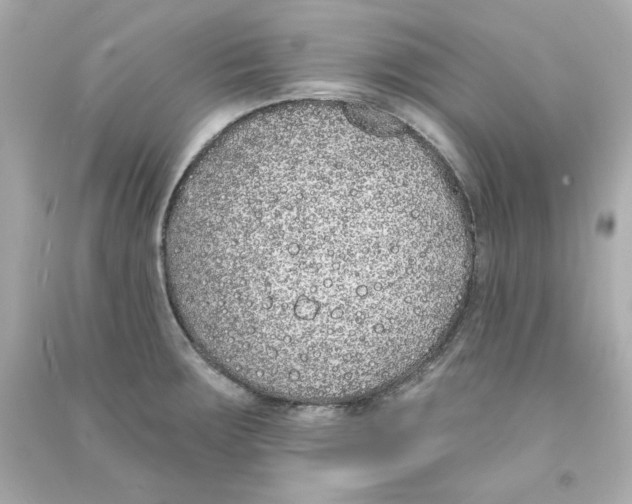 X0000090501283200708102232