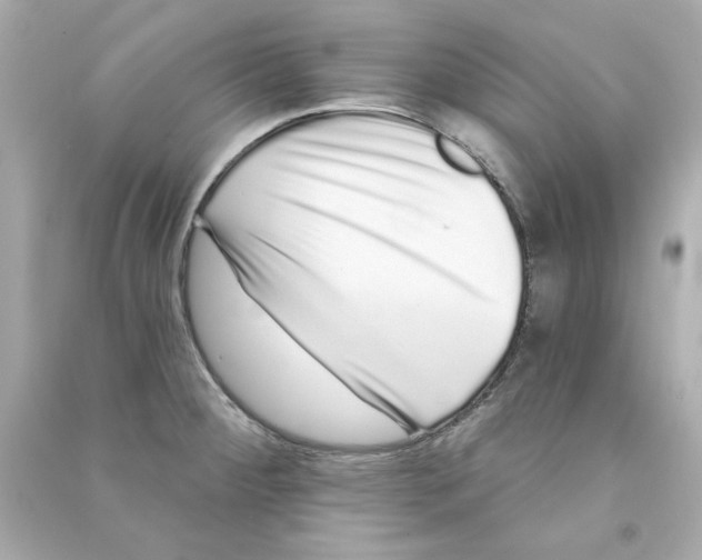 X0000090501284200708102232