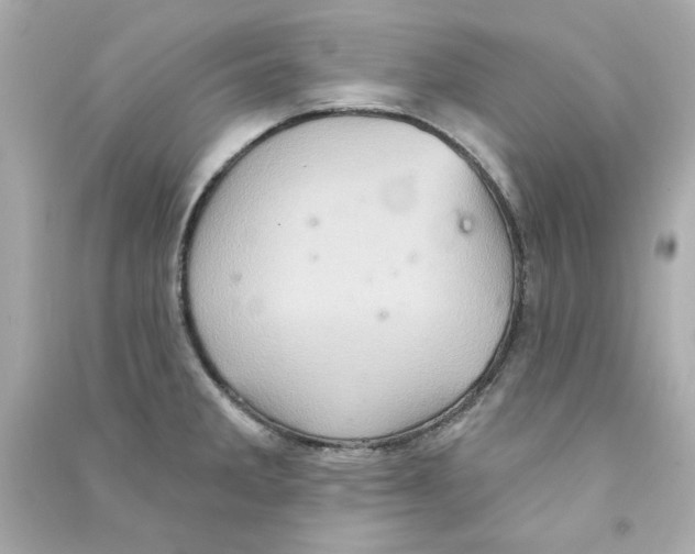 X0000090501285200708102232