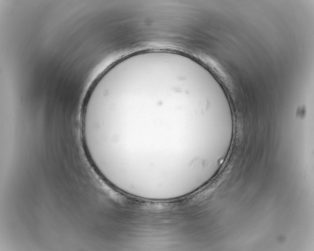 X0000090501286200708102232