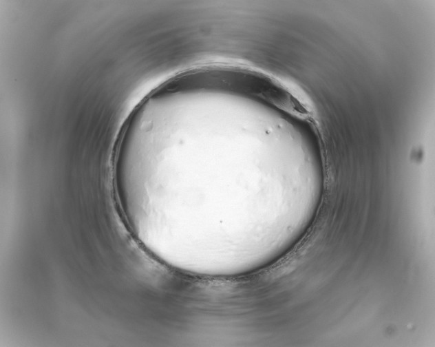 X0000090501287200708102232